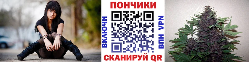 Где продают наркотики Олёкминск Амфетамин  A PVP  ГАШИШ  Лсд 25  МЕТАДОН  МАРИХУАНА  МЕФ 