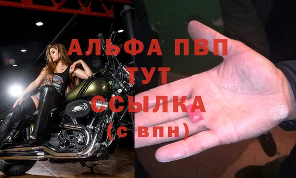 Альфа ПВП Белокуриха